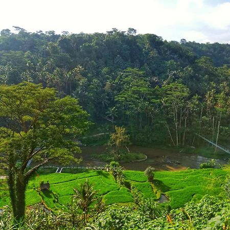 Puri Bunga Resort Ubud  Exterior photo